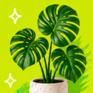 Plants