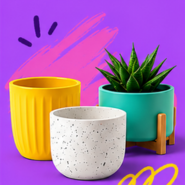 Pots & Planters
