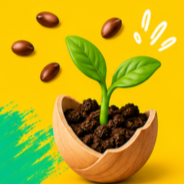 Seeds