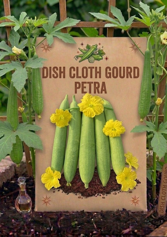 Dish Cloth Gourd
