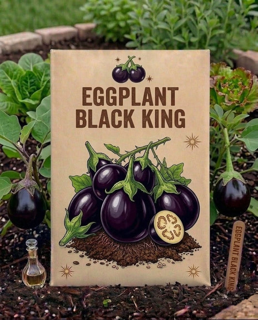 Egg Plant