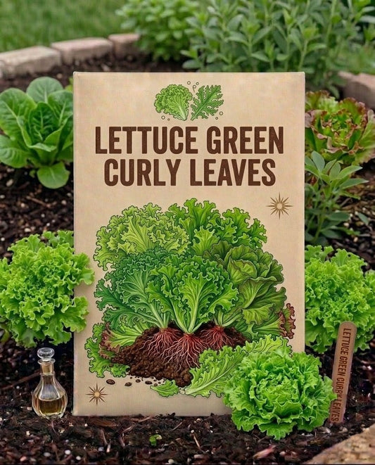 Lettuce Green