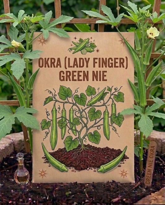 Okra (Lady Finger)