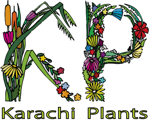 Karachi Plants