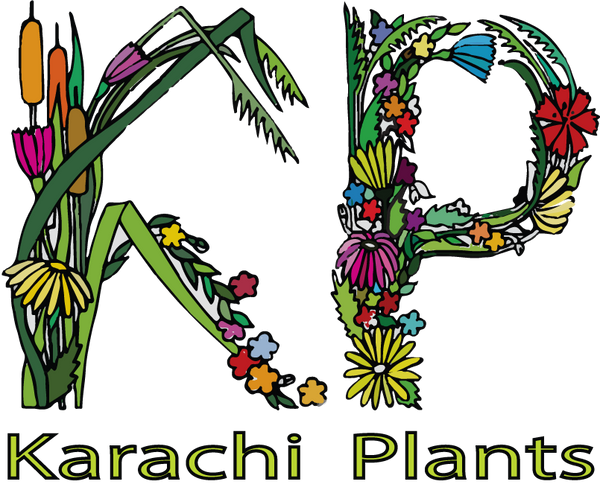 Karachi Plants