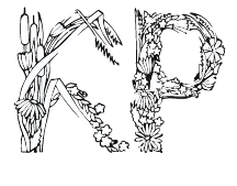 Karachi Plants