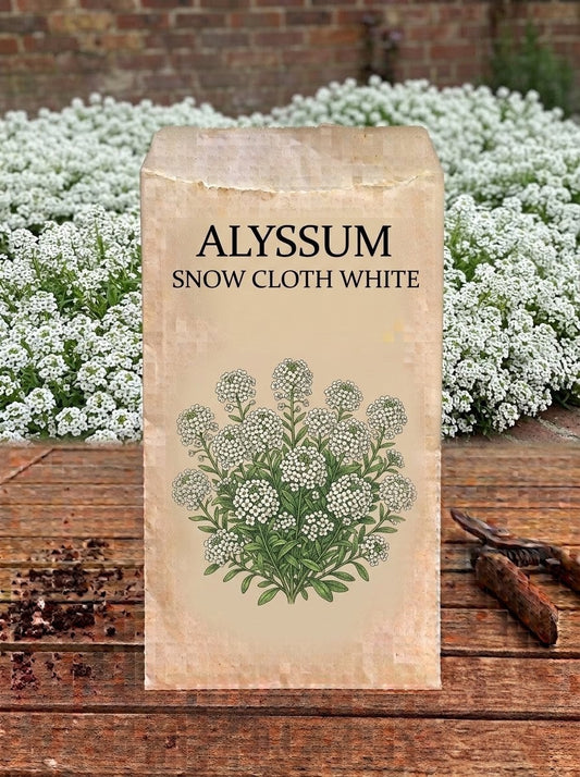 Alyssum Snow Cloth White Seeds