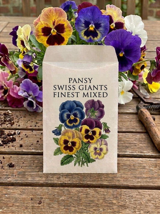 Pansy Swiss Giants Seeds