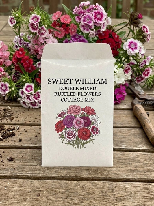 Sweet William Double Mixed Seeds
