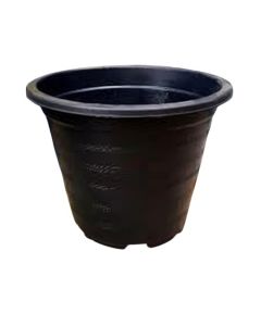 Pot (style29)