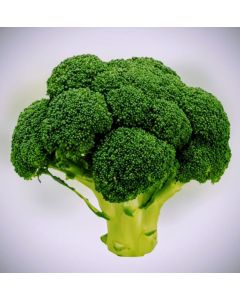 Broccoli F1 Hybrid Cezar